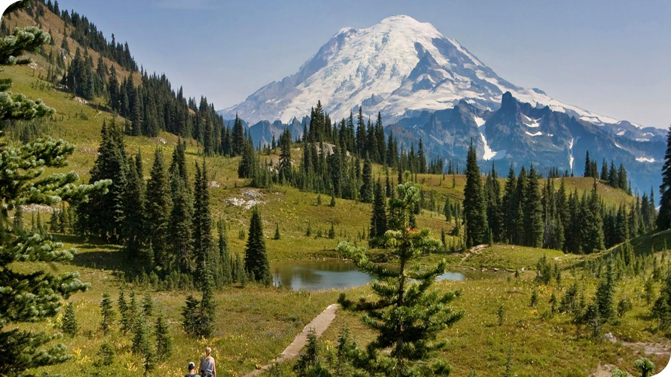 Scenic view of Mount Rainier with lush green meadows, tall evergreen trees, and hikers on a trail. Local Moving Company in WA